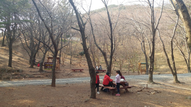 백양산 명상 숲에서 휴식을 취하는 시민들 모습.