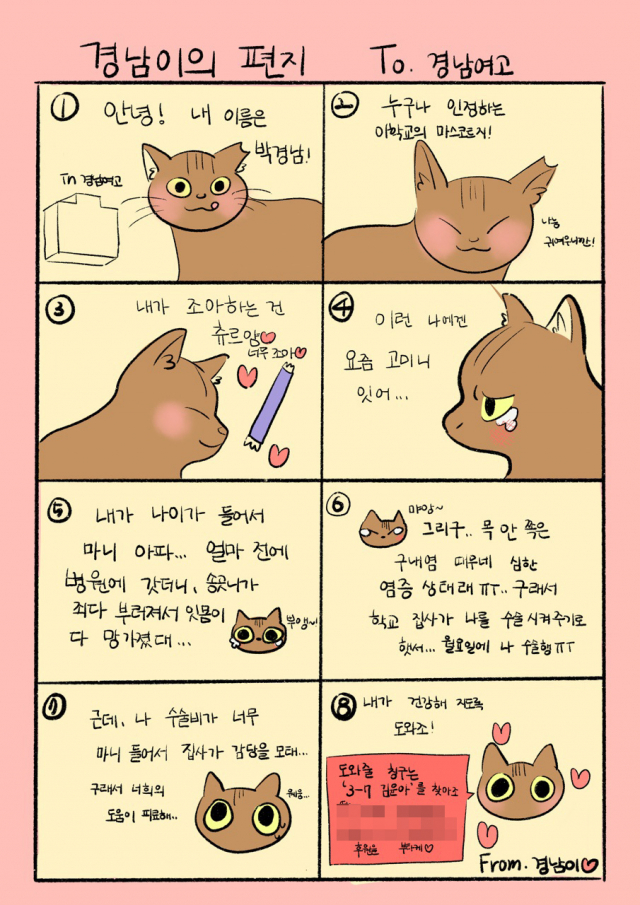 ‘경남이’ 수술비 모금 포스터 ‘경남이의 편지’. 김윤아 제공
