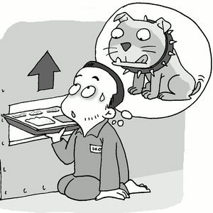 부산일보 일러스트