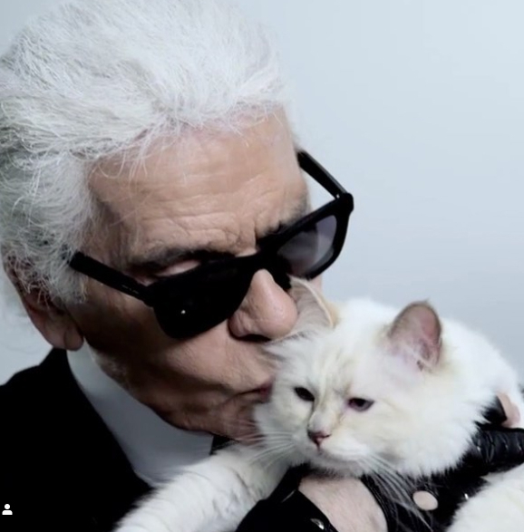 사진 / 칼 라거펠트 반려묘 슈페트 인스타그램