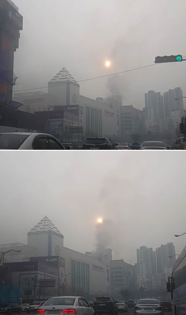 사진=독자 제공