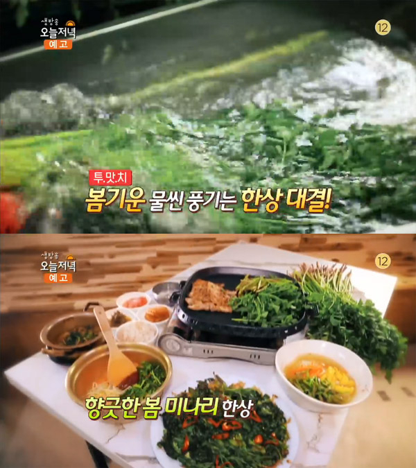 '생방송 오늘 저녁' 봄 미나리 한상, 경북 청도 한재미나리사랑가든…투맛취[오늘방송맛집]