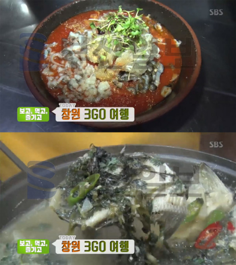 '생방송투데이' 도다리 쑥국＆물회, 창원 상남동 해모수횟집…3GO여행[오늘방송맛집]