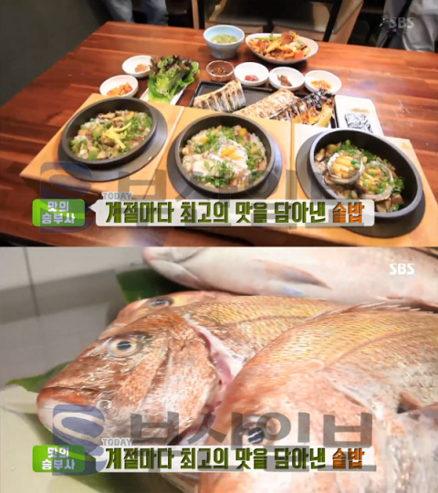 '생방송투데이' 도미솥밥<div class=