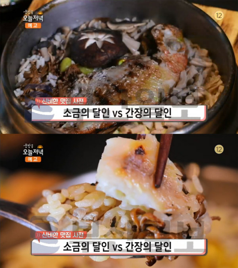 '생방송 오늘 저녁' 도미솥밥, 강남 신사동 하루루…신비한맛집사전(오늘방송맛집)