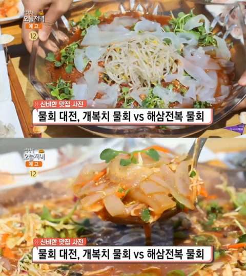 '생방송 오늘 저녁' 속초 개복치물회, 영랑동 삼해횟집…맛집사전(오늘방송맛집)