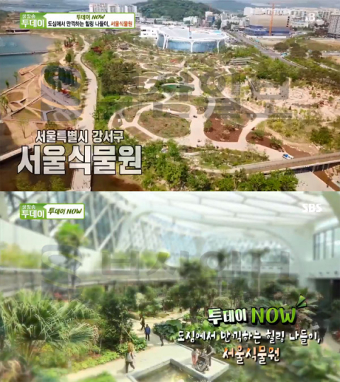 '생방송투데이' 서울식물원, 씨앗도서관-500여종의 대형 온실…투데이NOW(오늘방송맛집)