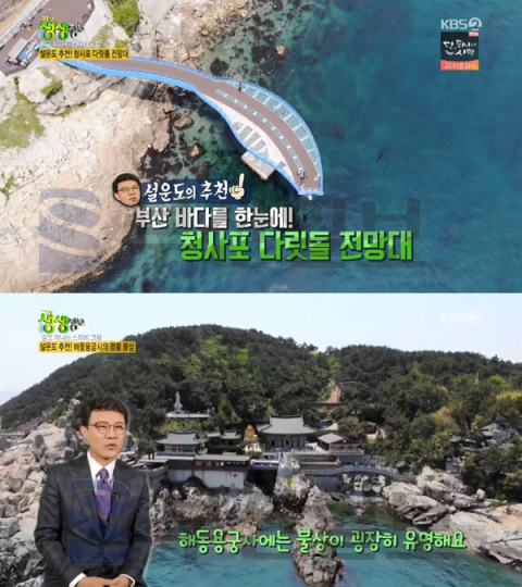 '2TV 생생정보' 설운도 고향 부산, 해운대 청사포-해동용궁사-다대포-가덕도-부평깡통야시장…(생생정보통 맛집오늘)