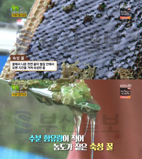 '2TV 생생정보' 숙성 꿀, 상주 중동면 '화밀양봉'…오래된 일터 행복한 장인(생생정보통 맛집오늘)