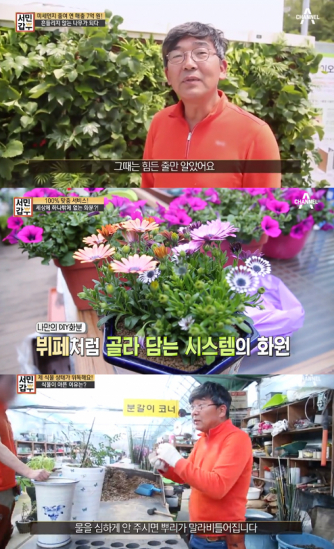 사진-'서민갑부' 방송화면