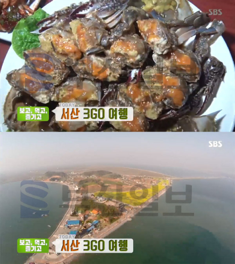 '생방송투데이' 서산 삼길포항-간장게장＆양념게장-팔봉갯벌체험장…3GO여행(오늘방송맛집)