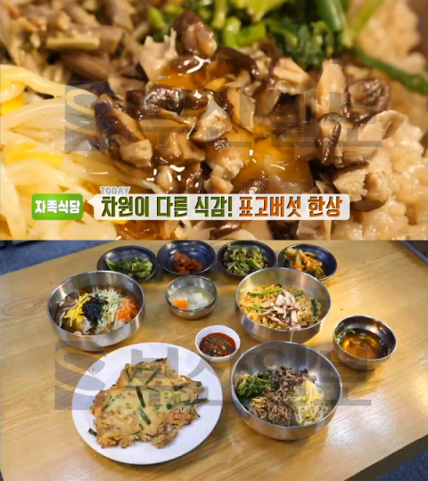 '생방송투데이' 표고버섯밥 한상, 경남 하동 화개면 지리산이시마표고버섯밥…자족식당(오늘방송맛집)
