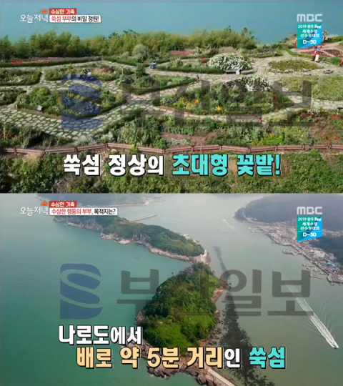 '생방송 오늘 저녁' 쑥섬(애도) 부부 비밀정원, 전라남도 고흥군 나로도에서 배로 5분…수상한가족