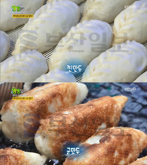'2TV 생생정보' 잎새만두(나뭇잎만두), 대구 서남신시장 후야네손만두…엄마는슈퍼우먼(생생정보통 맛집오늘)