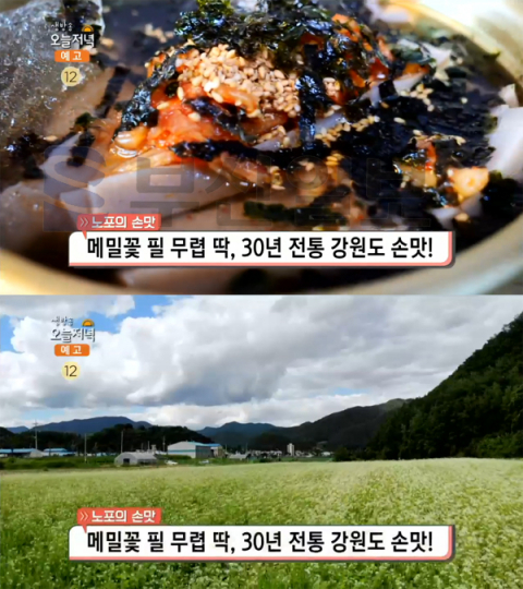 '생방송 오늘 저녁' 메밀묵밥＆감자옹심이, 강원 영월군 주천면 주천묵집…노포의손맛(오늘방송맛집)