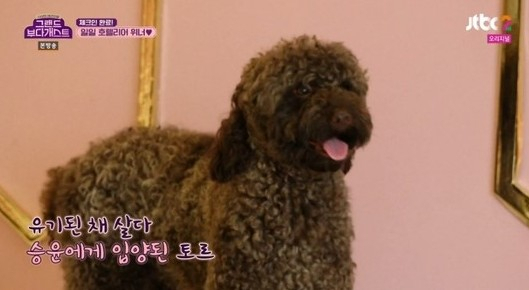 사진=JTBC2 '그랜드 부다개스트' 방송화면 캡처