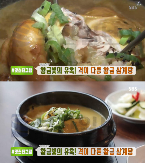 '생방송투데이' 상황버섯 황금삼계탕, 수원 백세삼계탕…쯔양 맛스타그램(오늘방송맛집)