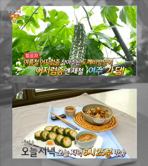 '생방송 오늘 저녁' 여주 순대＆영양밥, 여름철 어지럼증 잡는 도깨비 방망이…당뇨에 좋은 식재료