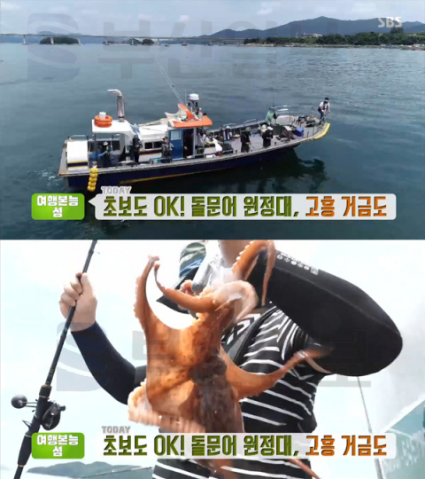 '생방송투데이' 고흥 거금도, 적대봉-익금해수욕장-유람선투어 금당8경-둘문어 밥상…여행본능섬