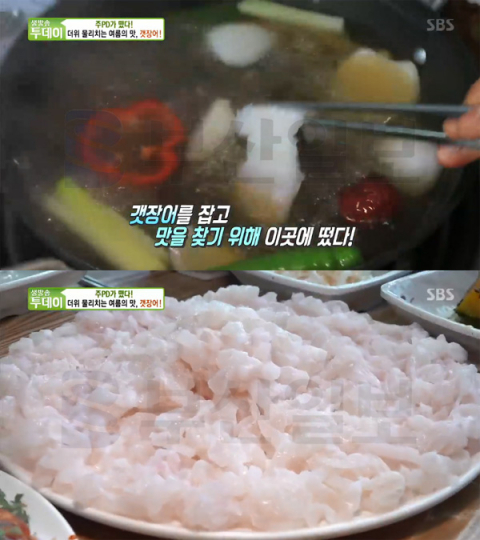 '생방송투데이' 자연산갯장어, 경남 고성군 삼산면 섬낚시횟집…주PD가떴다(오늘방송맛집)