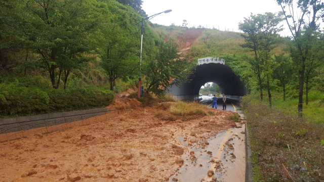 부산경찰청 제공