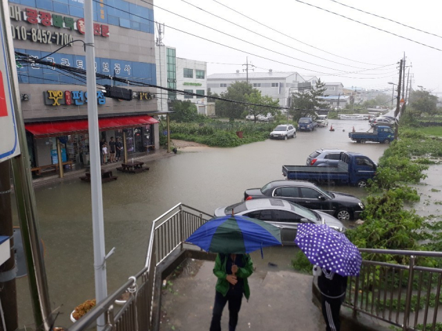 부산경찰청 제공