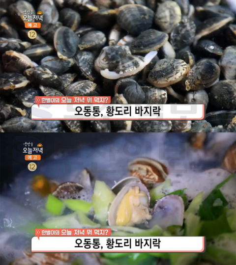 '생방송 오늘 저녁' 황도리 바지락, 태안군 안면읍 황도리 어촌계…한별이의 뭐먹지(오늘방송맛집)