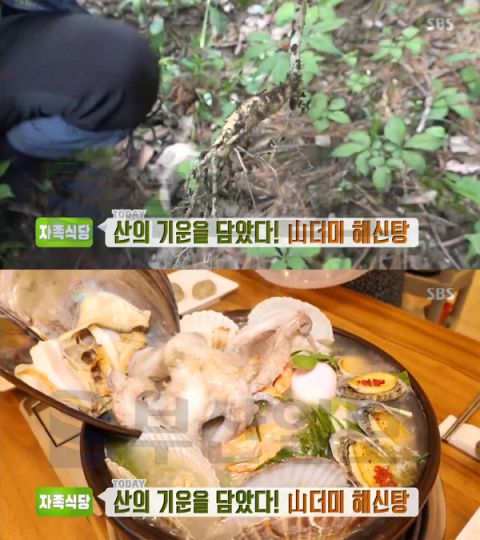 '생방송투데이 자족식당' 용인 수지 신봉동 '심마니', 산더미 해신탕(오늘방송맛집)