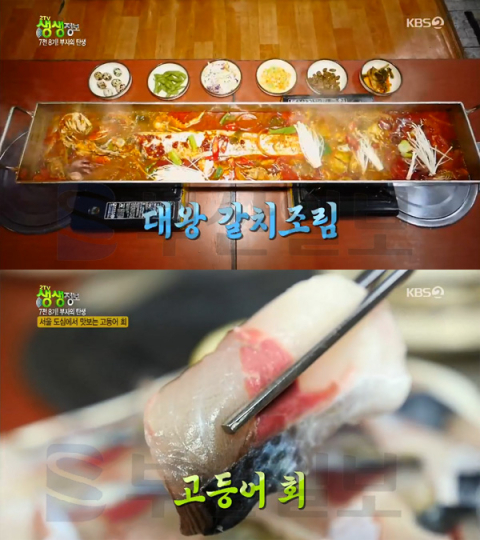 '2TV 생생정보' 1m 갈치조림 ＆ 고등어회, 종로 효제동 제주바다활고등어회…부자의탄생(생생정보통 맛집오늘)