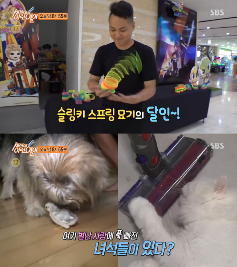 '순간포착 세상에 이런일이' 슬링키 스프링 묘기의 달인-별난 사랑에 빠진 동물들-영화 캐릭터 분장 소녀-손녀 사랑 목공예 할아버지