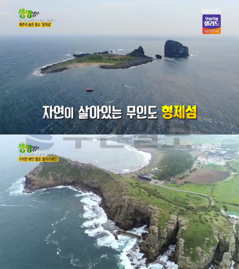 '2TV 생생정보' 제주 형제섬 호핑투어-용머리해안-퐁갑새-빙떡＆모묵-용두암…미스터Lee 사진한컷
