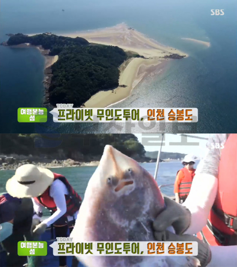 '생방송투데이' 인천 승봉도, 패키지코스-해안산책로 트레킹-선상낚시체험…여행본능섬