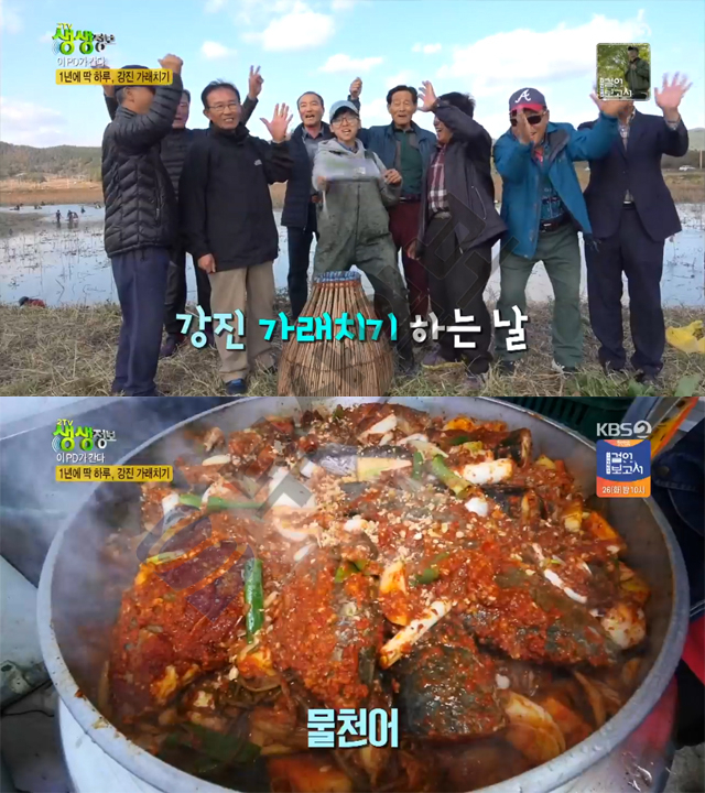 생생정보 이피디 성별 관심? 강진 가래치기·물천어, 1년에 딱 하루…이PD가간다