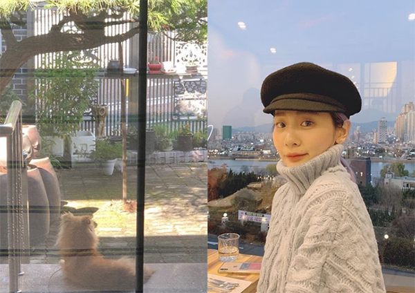 안지영 인스타그램