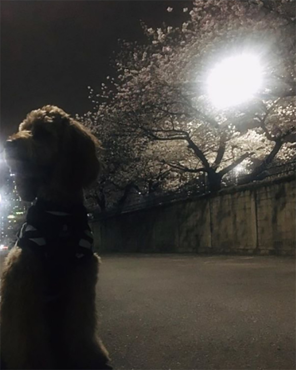 변요한 인스타그램