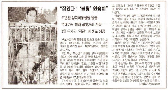 '신창원 원숭이'의 생포 과정을 묘사한 <부산일보> 1999년 2월 6일 자 기사입니다. 부산일보DB