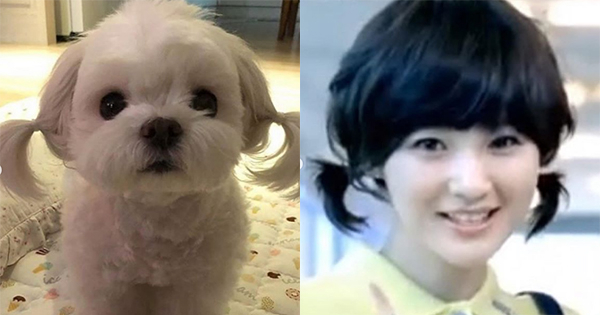 강민경 인스타그램