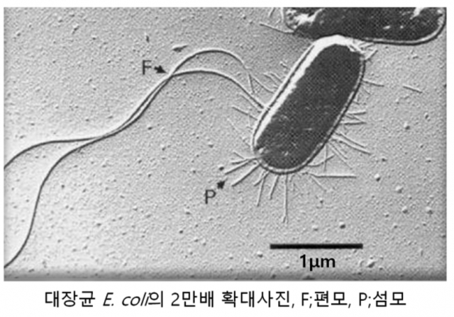 사진제공 이태호 교수
