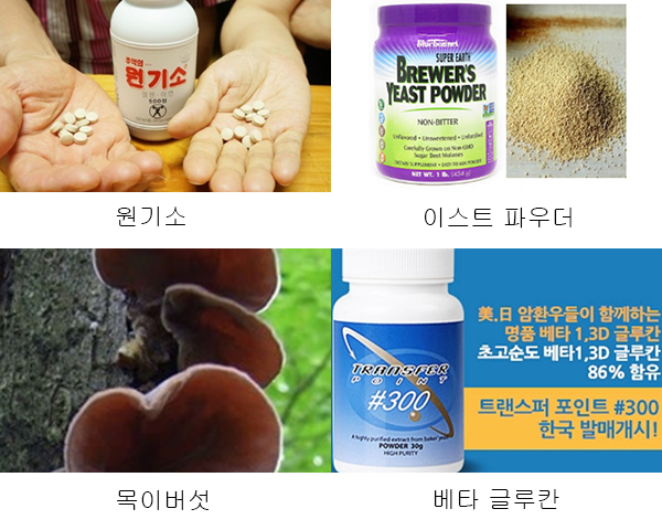 사진제공 이태호 교수