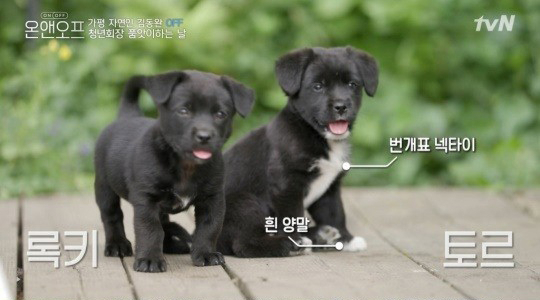 tvN '온앤오프' 캡처