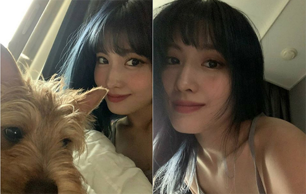 트와이스 인스타그램