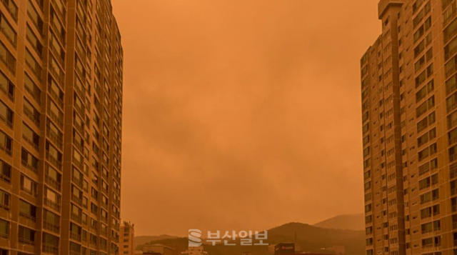 주황색으로 물든 부산 하늘. 사진은 독자 제공