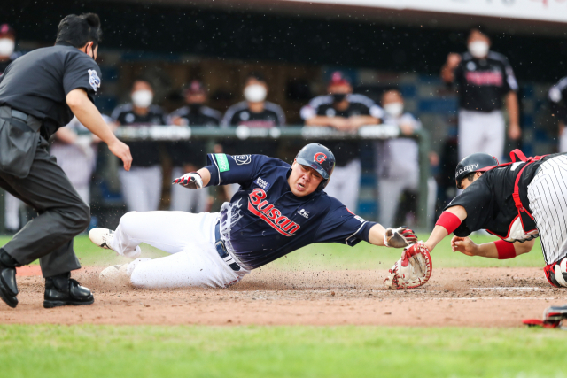 6일 부산 사직야구장에서 열린 롯데 자이언츠와 LG 트윈스의 경기 5회 말 2사 만루에서 롯데 전준우의 1타점 적시타 때 2루 주자 안치홍이 홈에서 아웃되고 있다. 윤민호 프리랜서 yunmino@