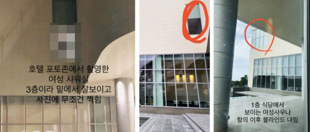 온라인 커뮤니티 캡처