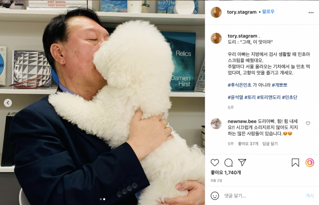 인스타그램 '토리스타그램' 캡처