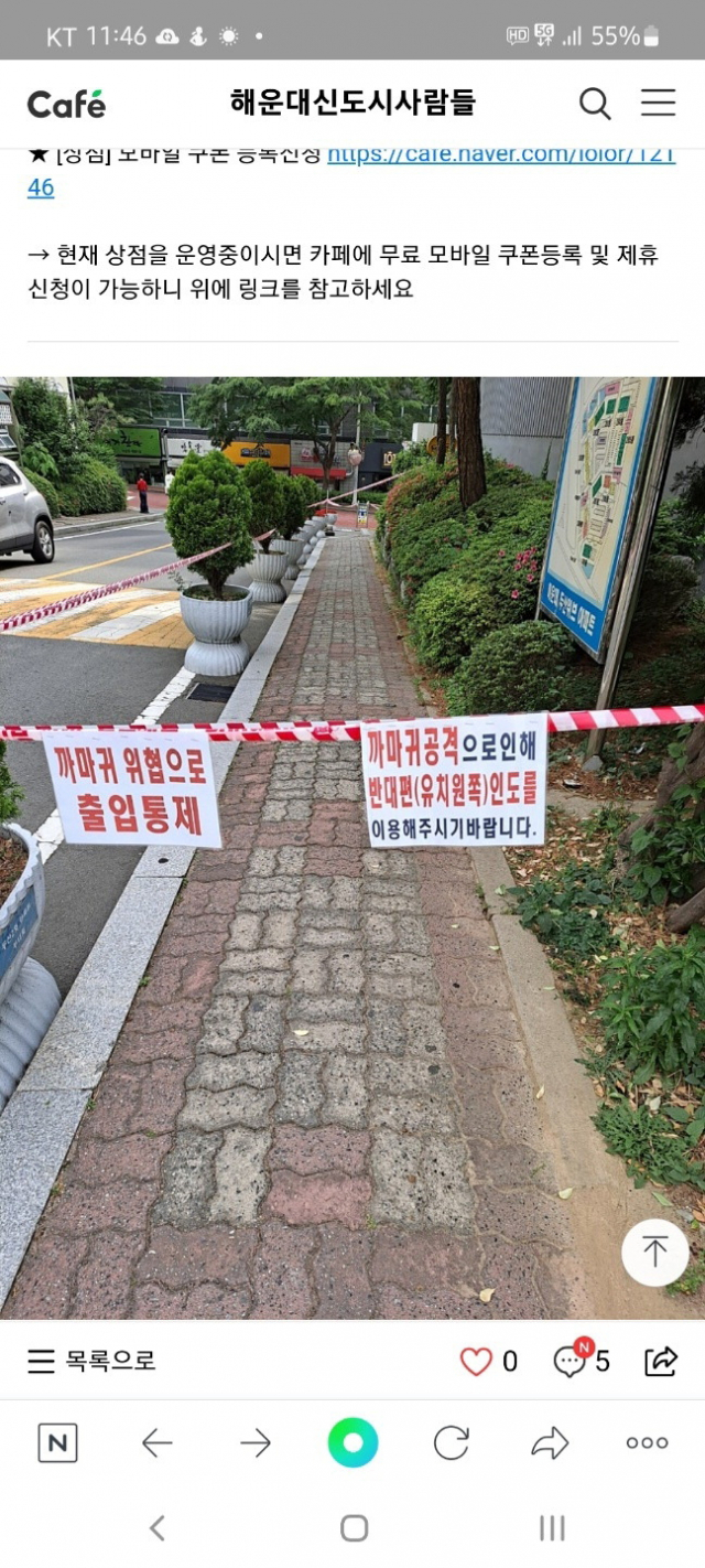 지난 19일 부산 해운대구 좌동 한 아파트 단지 내에 까마귀 습격으로 인해 인도 일부가 통제됐다. 인터넷 카페 캡처