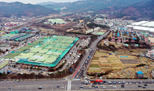 부산 해운대구 반여동 반여농산물도매시장과 센텀2지구 개발예정지 일대 모습. 부산일보DB