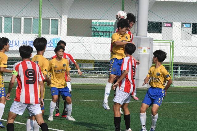국내 중학축구 최강자를 가리는 제59회 청룡기 전국중학교축구대회가 5일 경남 고성군 일원에서 개막한다. 지난해 열린 제58회 청룡기 중학축구대회 울산 학성중과 대구 청구중의 경기. 부산일보DB