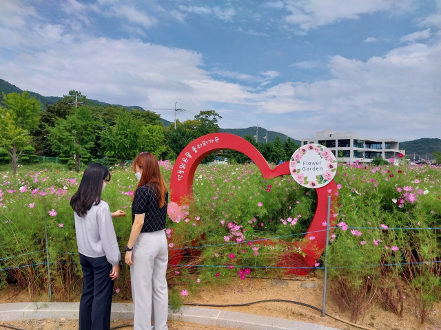 창원시 마산합포구 덕동물재생센터 내 덕동맑은물 플라워가든이 시민들에게 개방된다. 창원시 제공