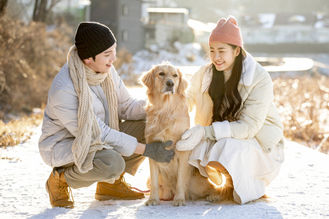 반려동물의 건강한 겨울나기를 위해서는 비만, 감기 등을 조심해야 하고, 온열기기 사용 시 보호자의 각별한 주의가 필요하다.